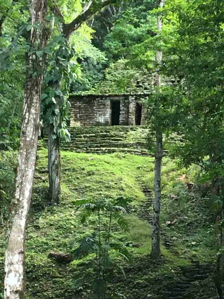 quantum healing, multidimensional healing, energy healing